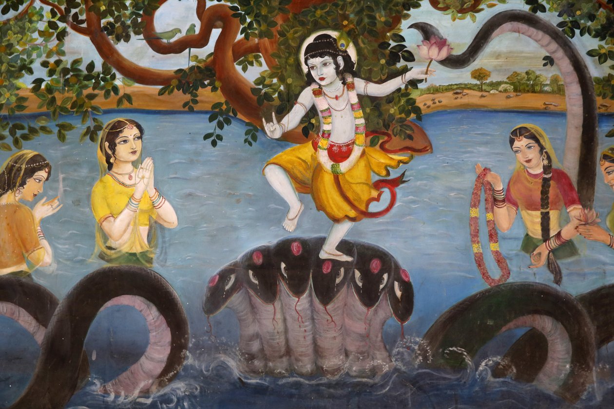 Sandipani Muni School voor behoeftige meisjes gerund door Food for Life Vrindavan. Leven van god Krishna. India door Unbekannt