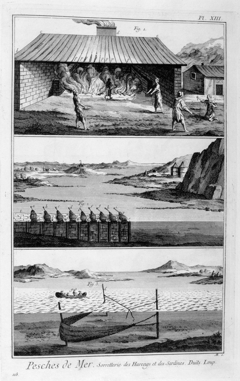 Zeevissen, haring en sardines, 1751-1777 door Unbekannt