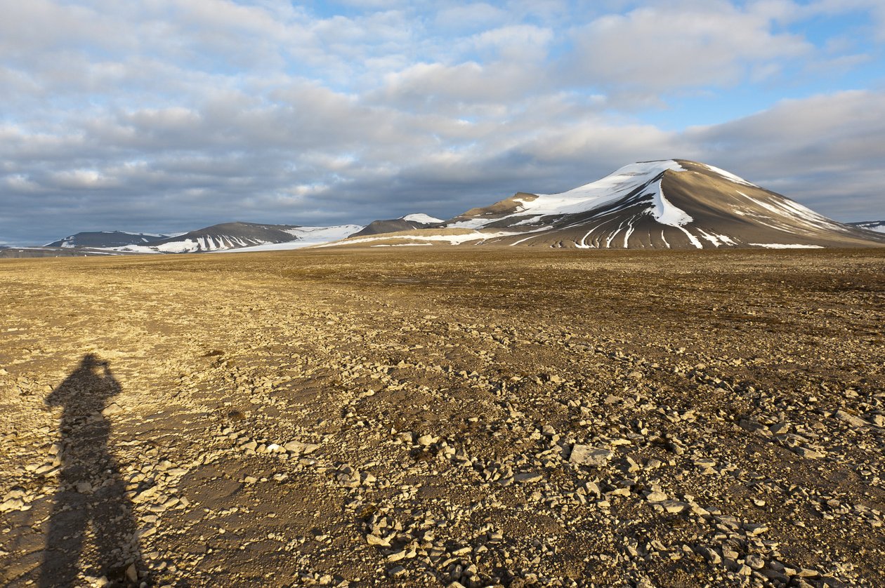 Schaduw van een mens, polygonale structurele bodem op de Plataberget, met sneeuw bedekte top Nordenskjoeldfjellet op de achtergrond, nabij Longyearbyen, Spitsbergen, Svalbard, Noorwegen, Europa door Unbekannt
