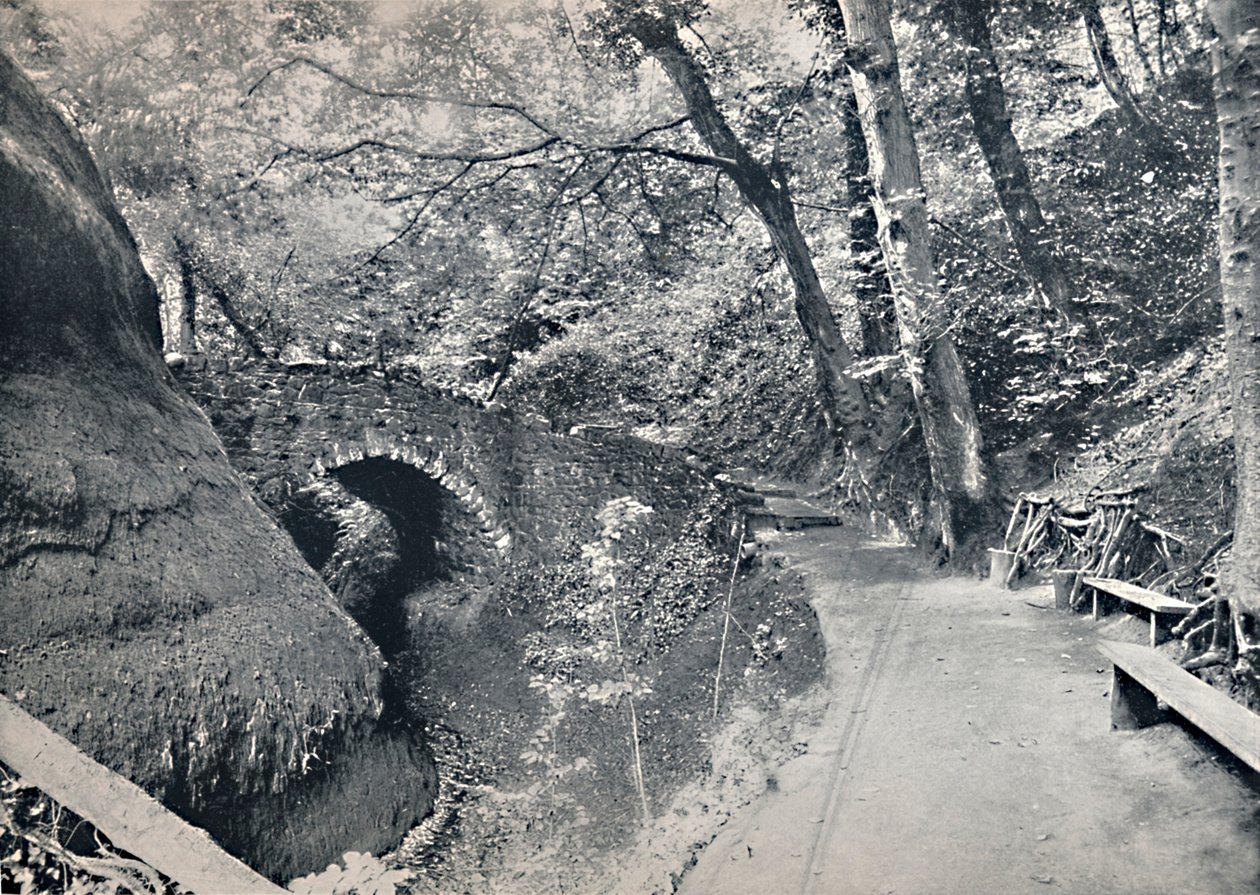 Shanklin - De Chine, 1895 door Unbekannt