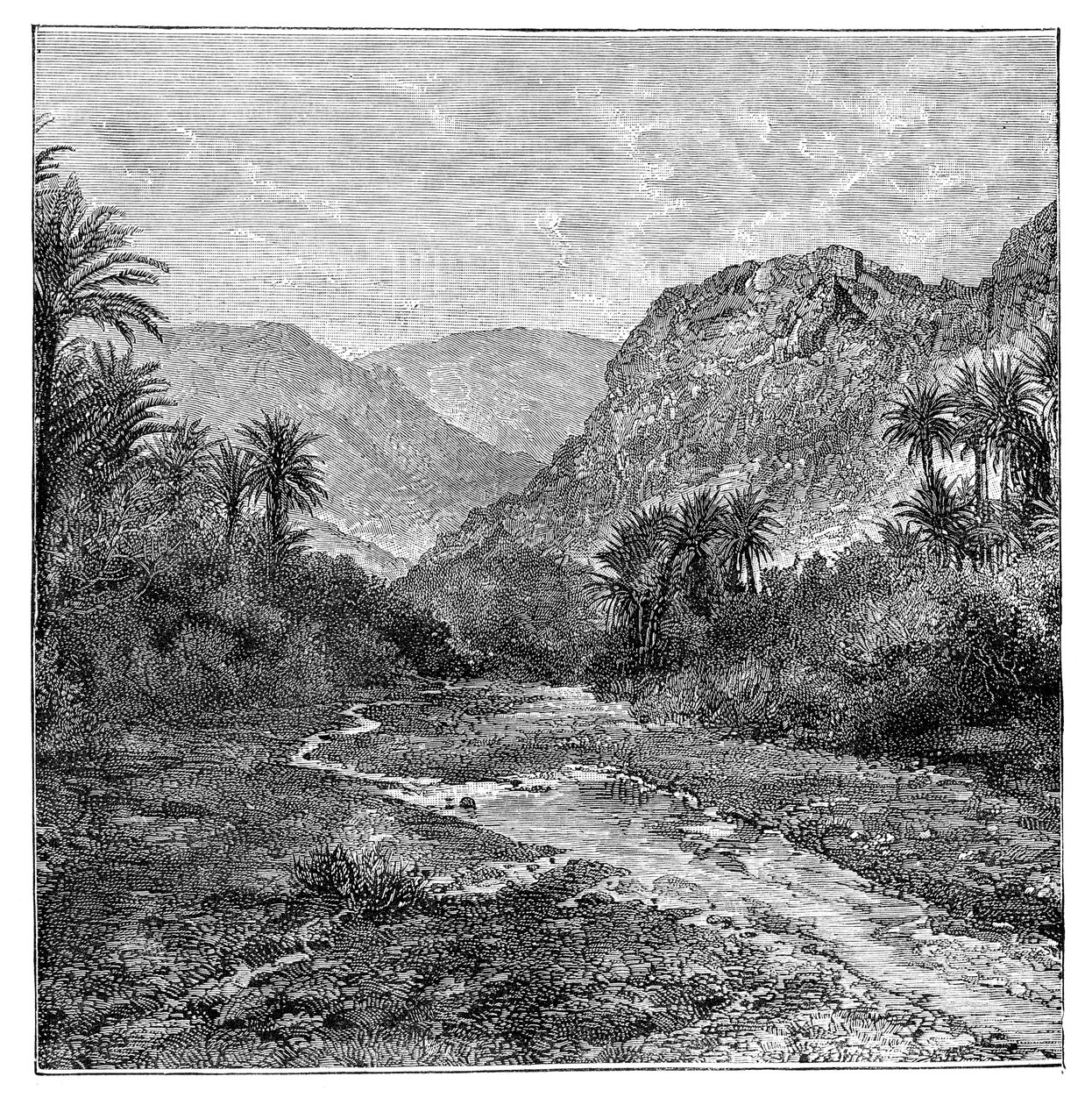 Sinaï, Egypte, 1895 door Unbekannt