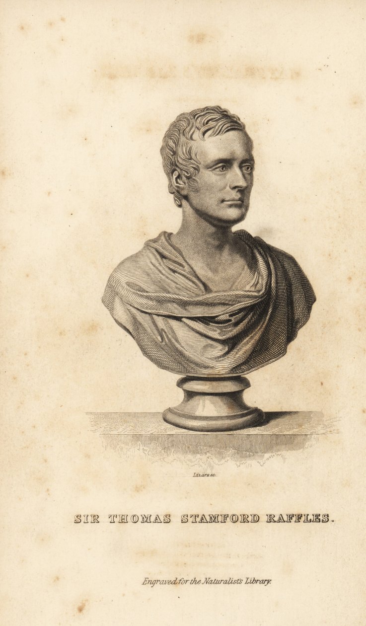 Sir Thomas Stanford Raffles, Brits staatsman, schrijver en natuuronderzoeker door Unbekannt
