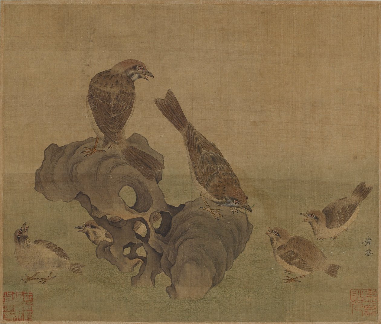 Mussen die hun jongen voeden, Ming of Qing-dynastie, 17e eeuw door Unbekannt