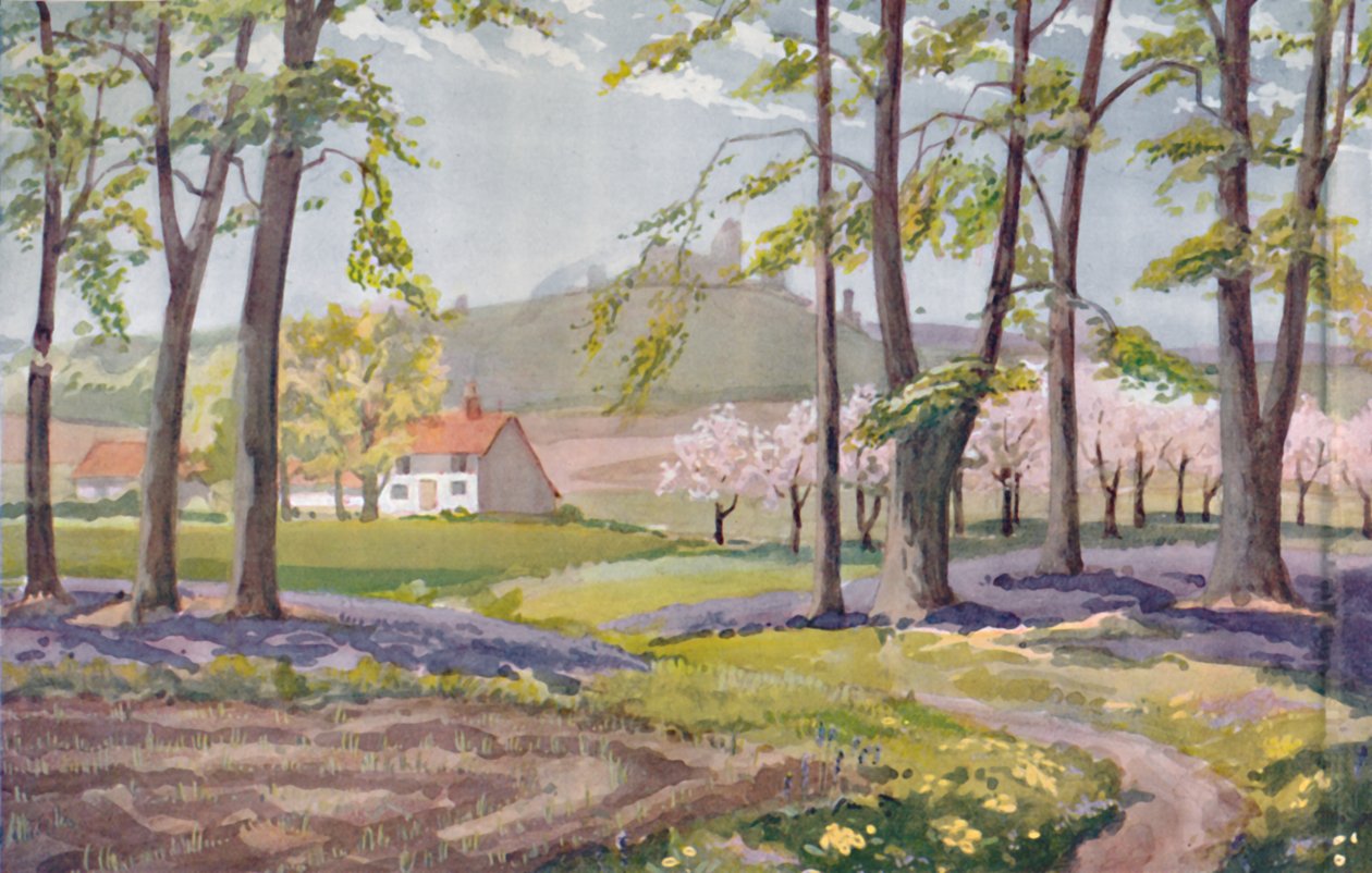 Lente - De Fysieke, Chemische en Biologische Veranderingen Door de Zon Gedurende het Jaar, 1935 door Unbekannt