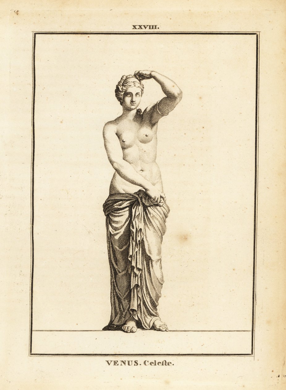 Beeld van Venus Celeste, Romeinse godin van liefde, schoonheid, seks en vruchtbaarheid door Unbekannt