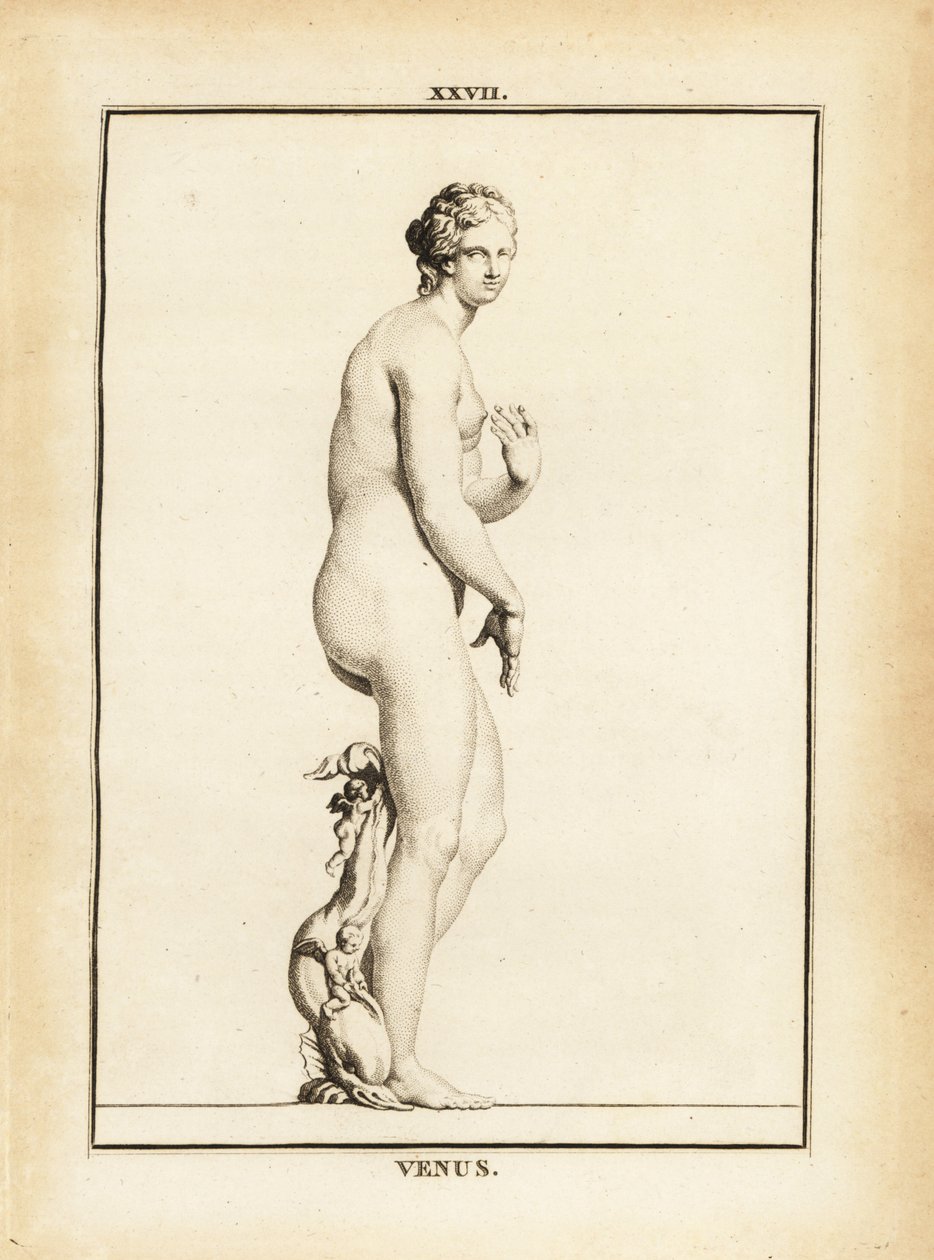 Beeld van Venus, Romeinse godin van liefde, schoonheid, seks en vruchtbaarheid door Unbekannt