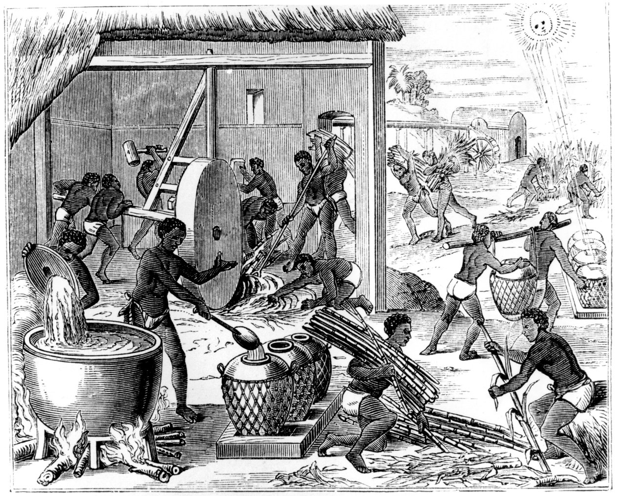 Suikerproductie, 1873 door Unbekannt