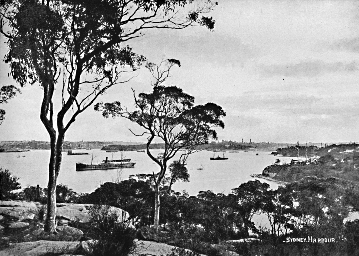 Sydney Harbour, vanaf Cremorne Point, ca. 1900 door Unbekannt