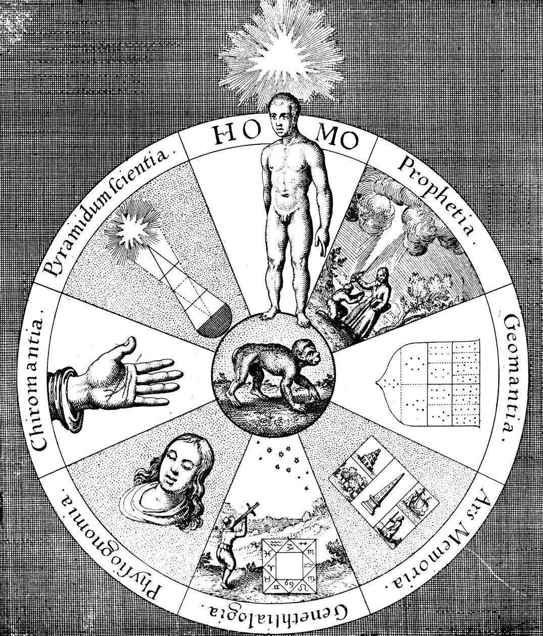 Synopsis van de waarzeggerskunsten, 1617-1619 door Unbekannt