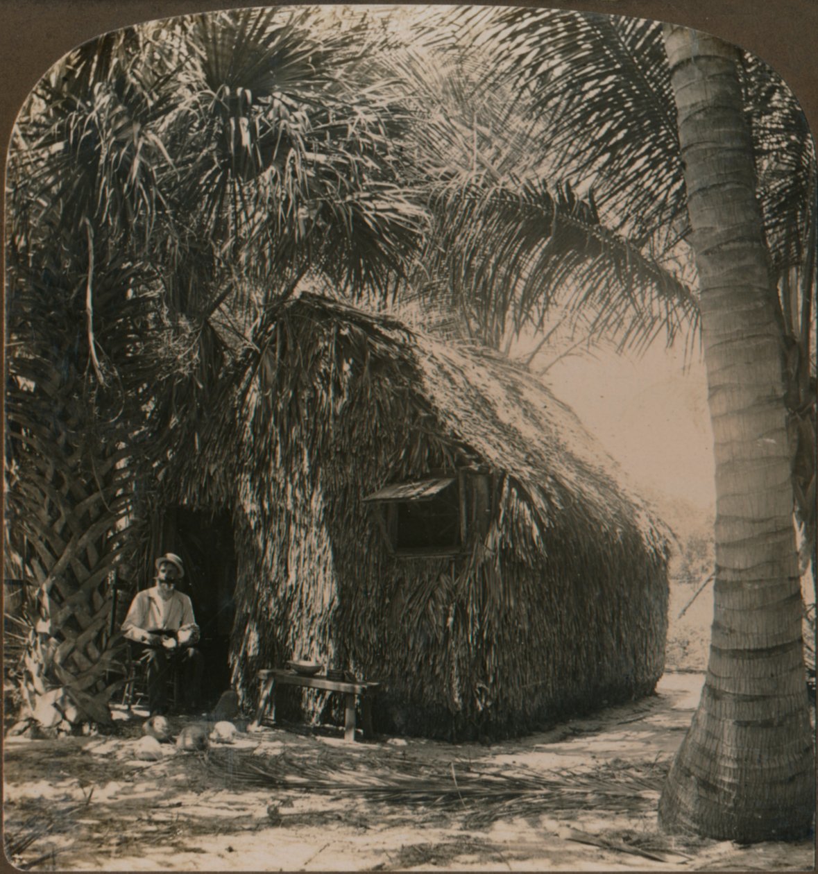 Strohuisje in Cocoanut Grove, Florida, VS, ca. 1900 door Unbekannt