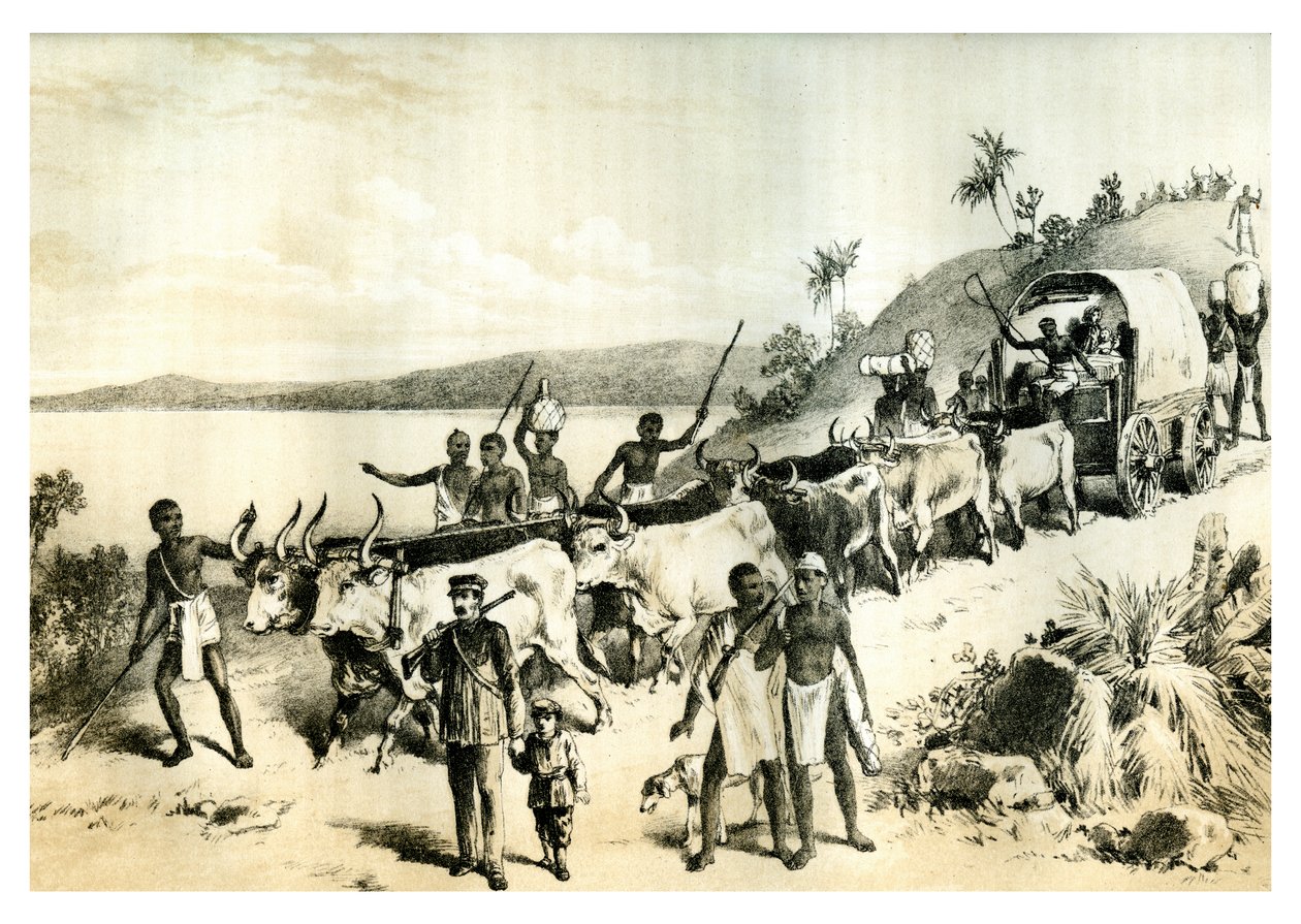 De aankomst bij Lake Ngami, 1883 door Unbekannt