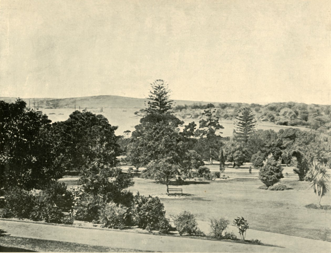 De Botanische Tuinen van Sydney, 1901 door Unbekannt
