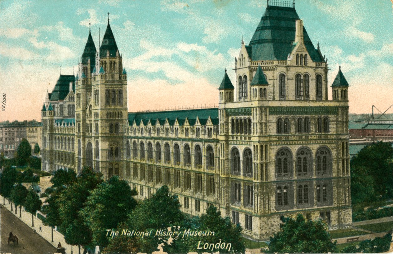 Het Nationaal Historisch Museum, Londen, ca. 1910 door Unbekannt