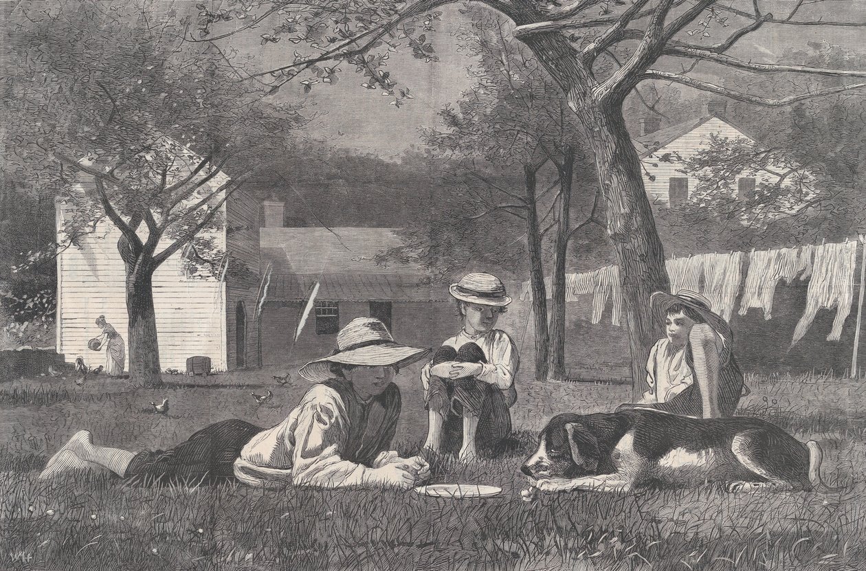 De Middagpauze Harper