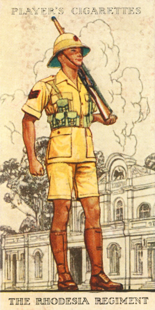 Het Rhodesia Regiment | Unbekannt | Kunstafdruk