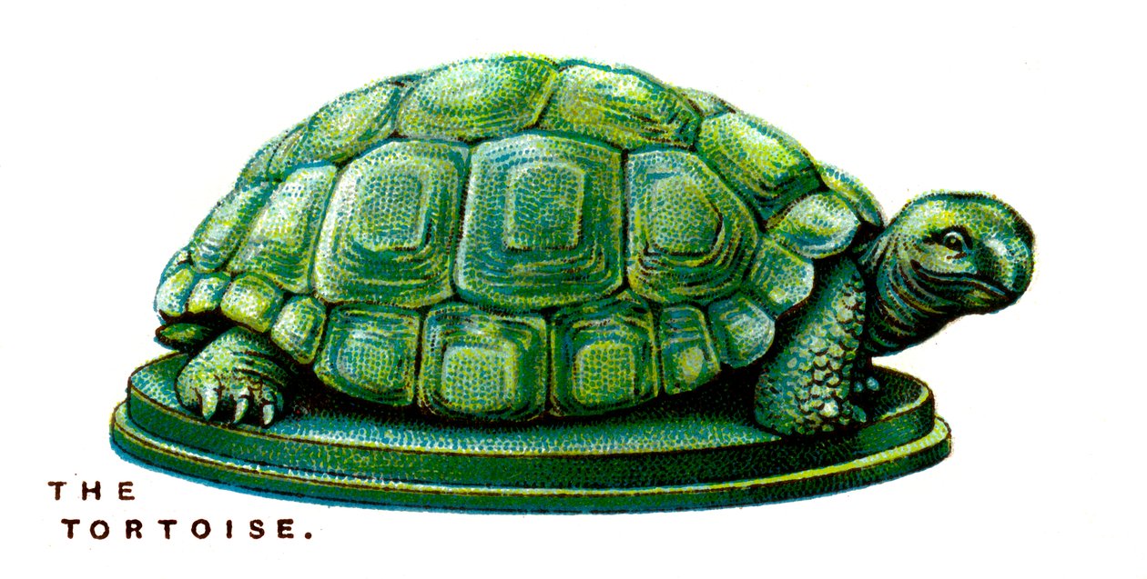 De Schildpad, 1923 door Unbekannt