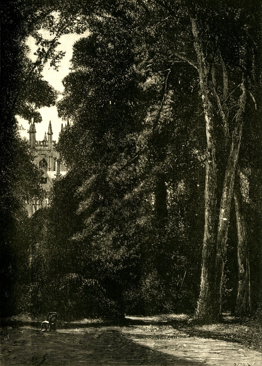 De Toren van Merton, vanuit de Tuin, 1898 door Unbekannt