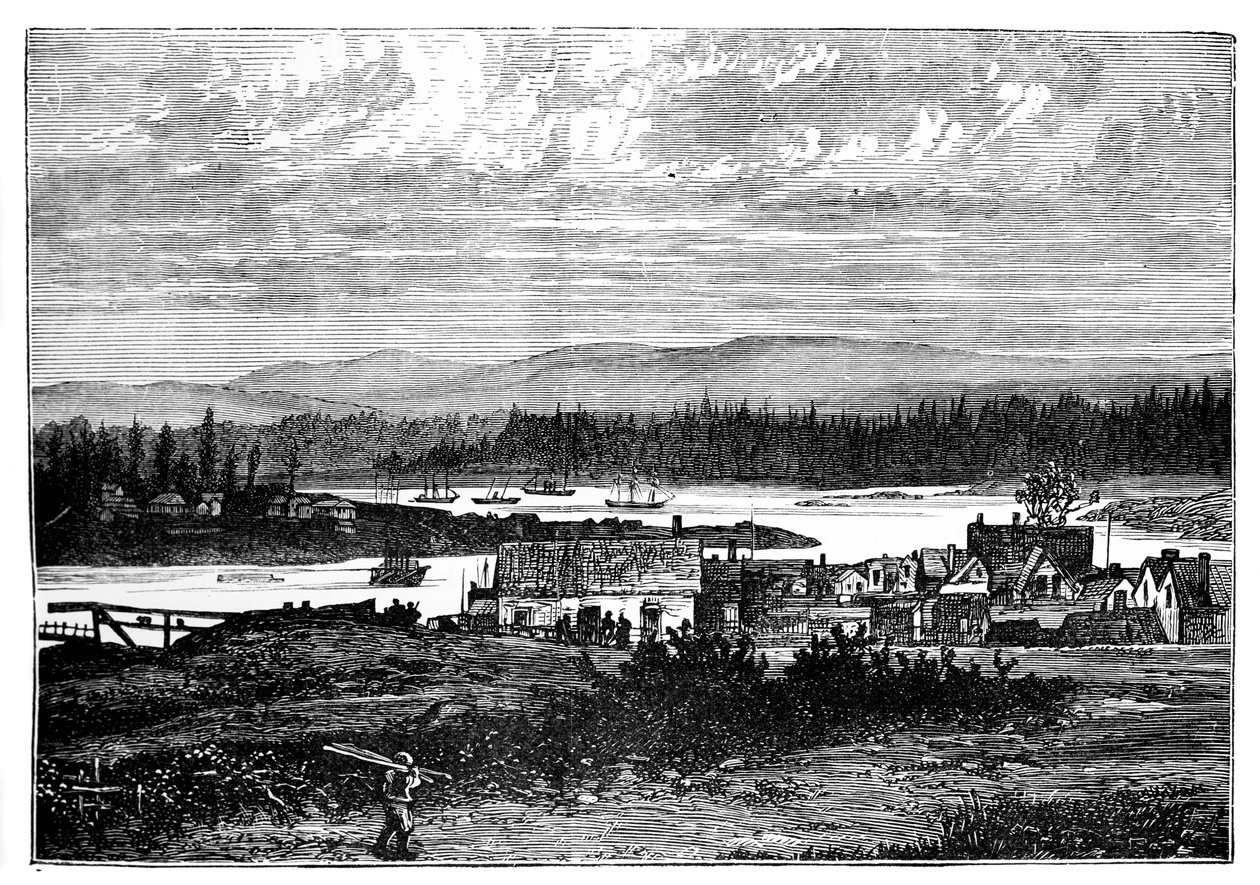 De westelijke buitenwijken van Victoria, Vancouver Island, Canada, ca. 1888 door Unbekannt