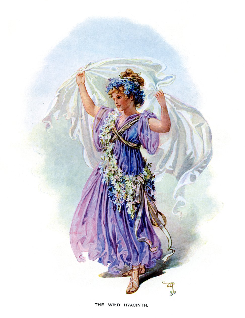 De Wilde Hyacint, 1899 door Unbekannt