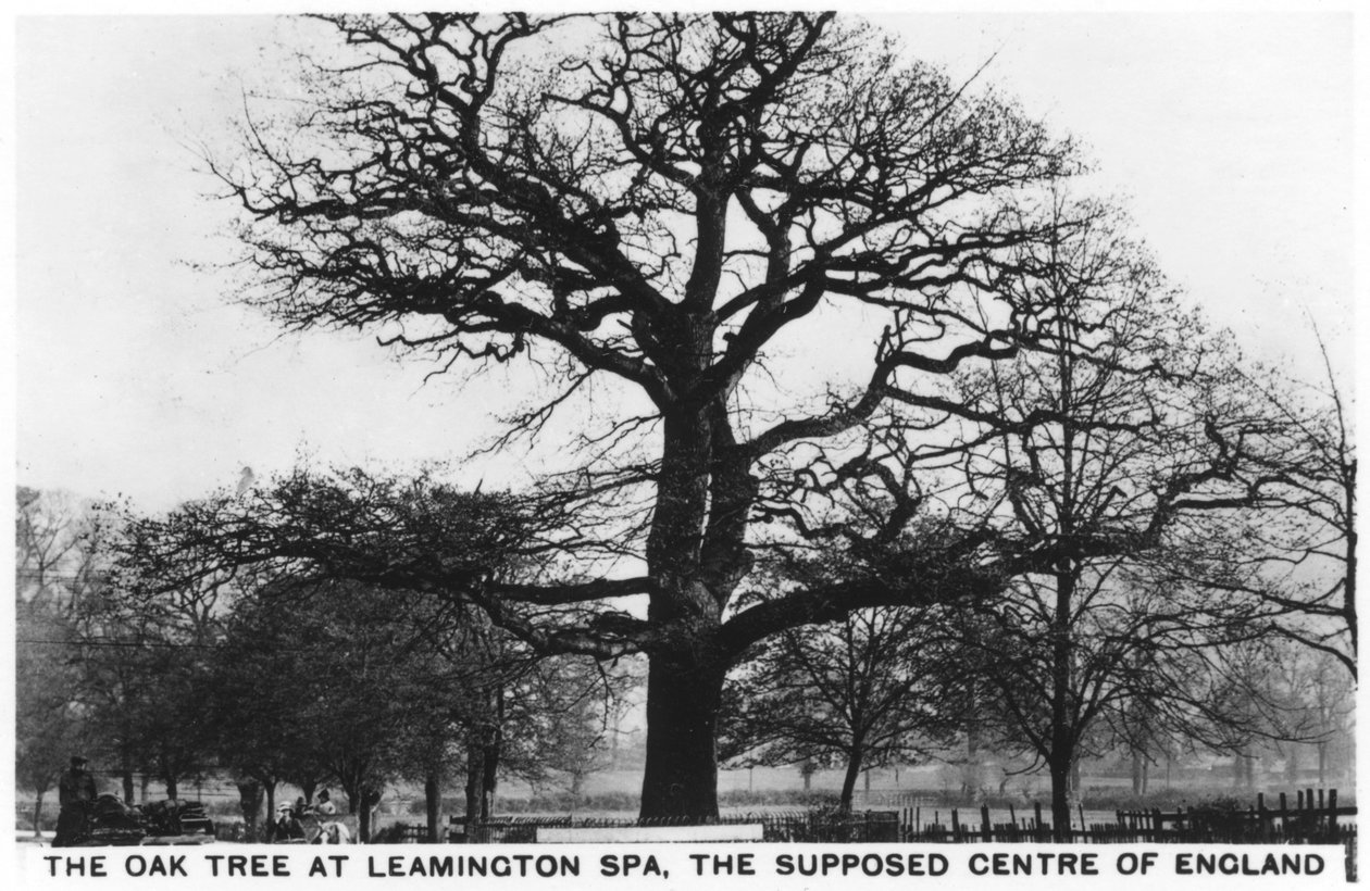 De eik in Leamington Spa, het veronderstelde centrum van Engeland, 1936 door Unbekannt