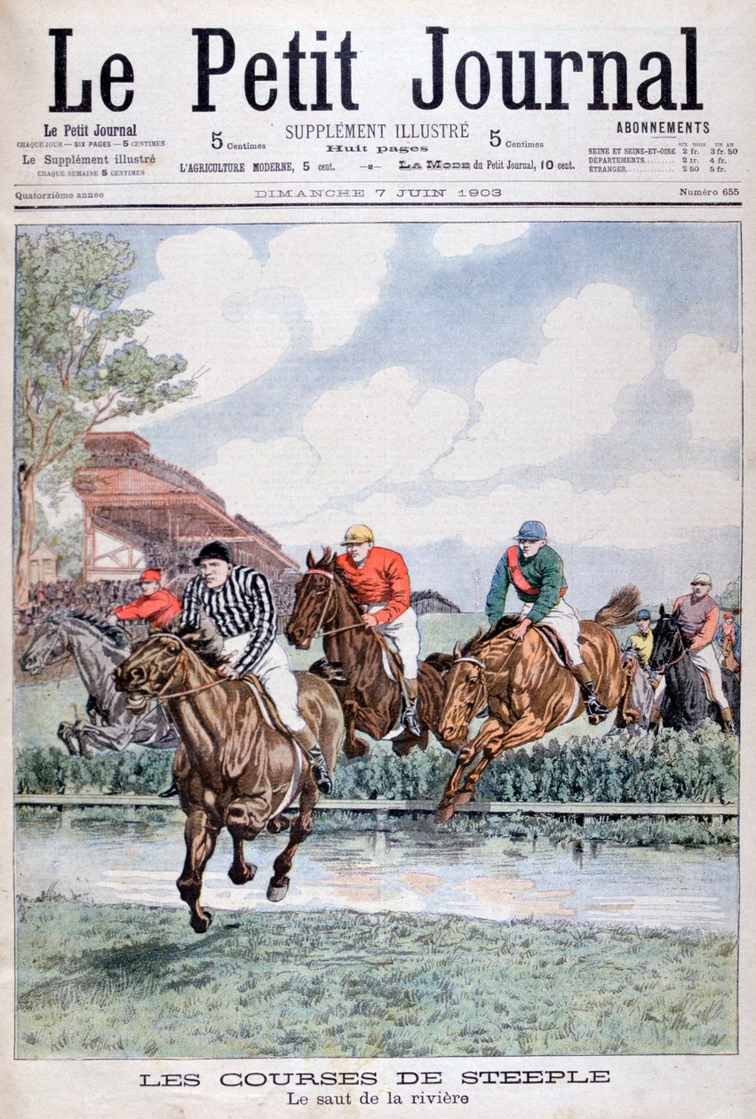 De water sprong bij de steeplechase, Auteuil door Unbekannt