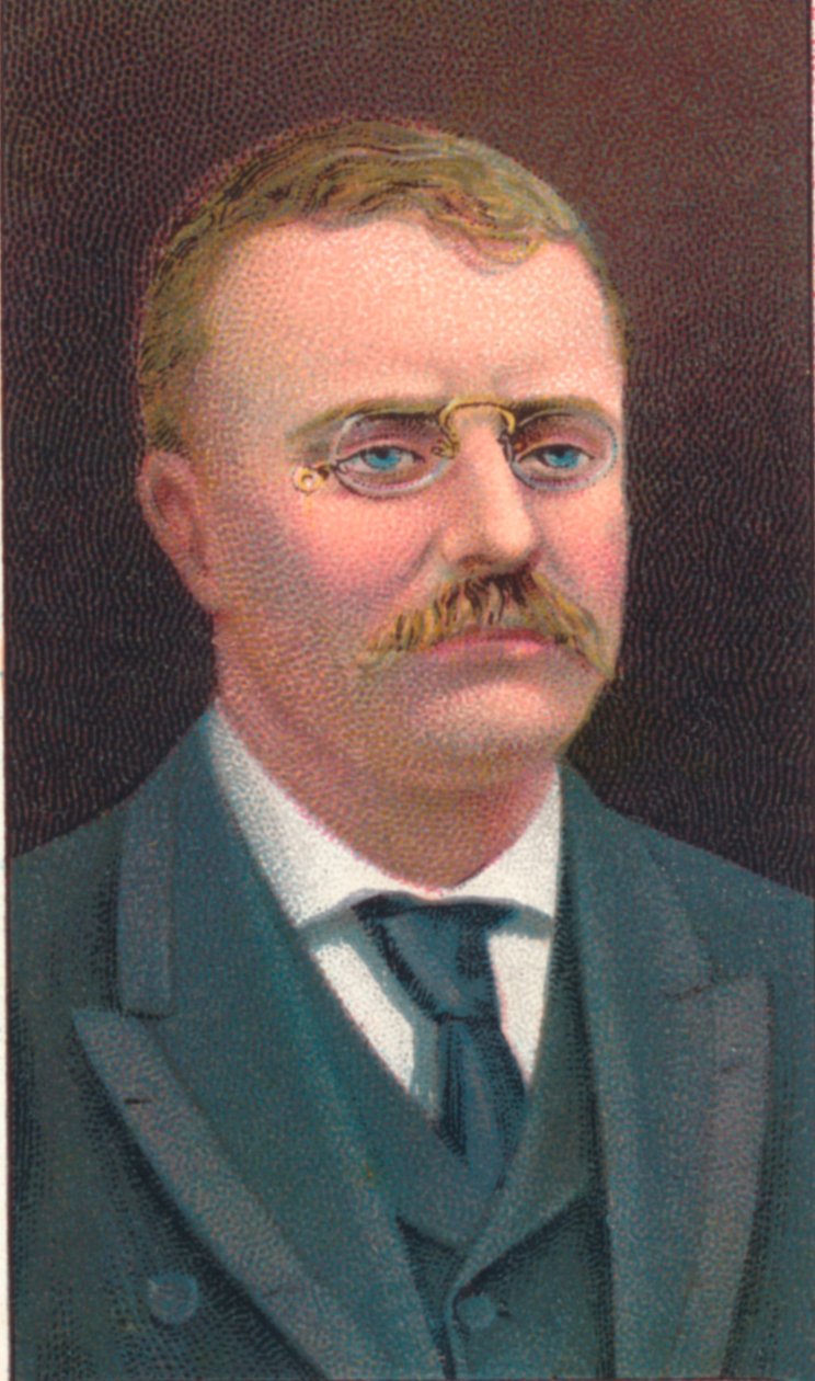 Theodore Roosevelt 1858-1919, 26e President van de Verenigde Staten, 1906 door Unbekannt