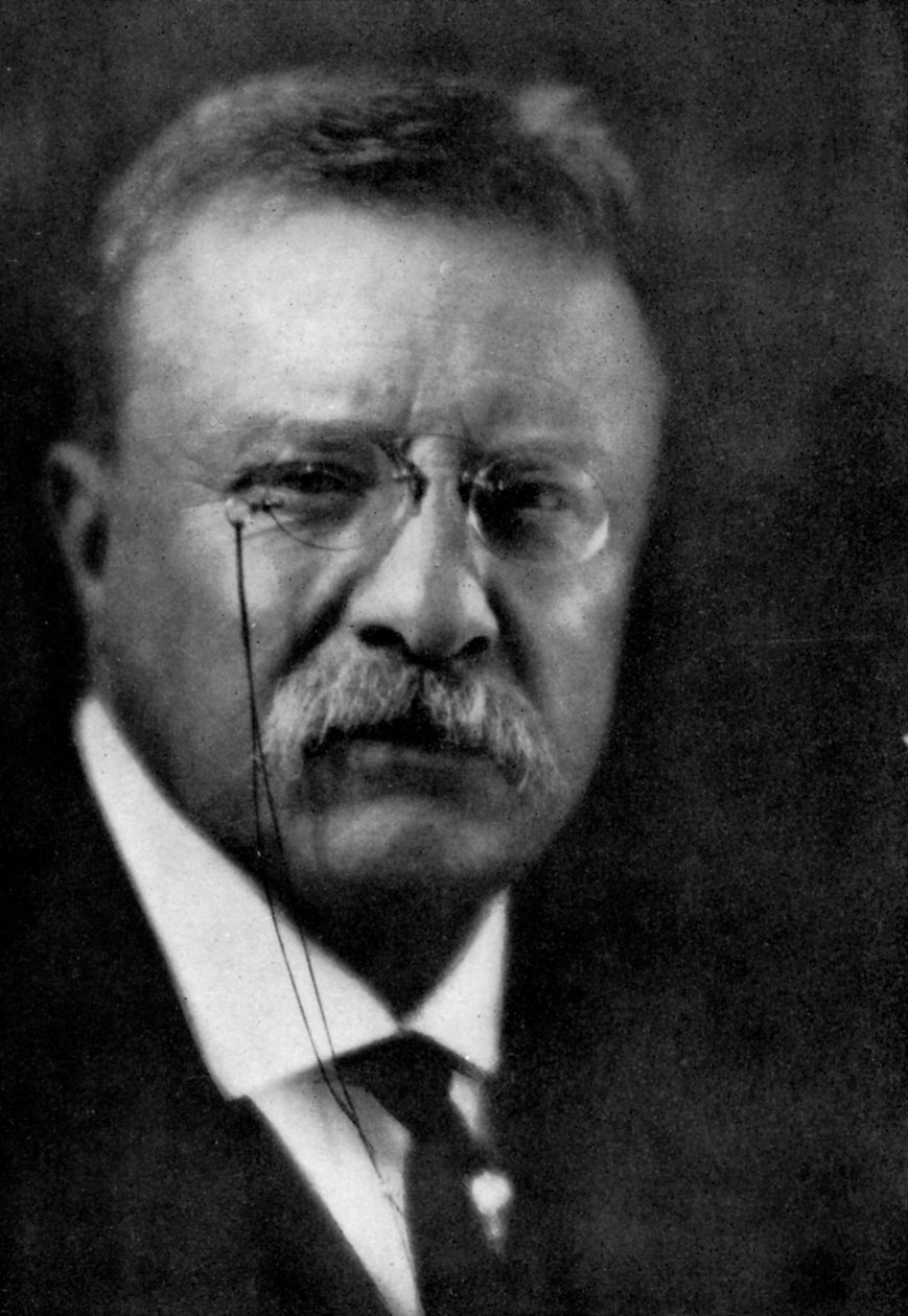 Theodore Roosevelt, 26e President van de Verenigde Staten door Unbekannt