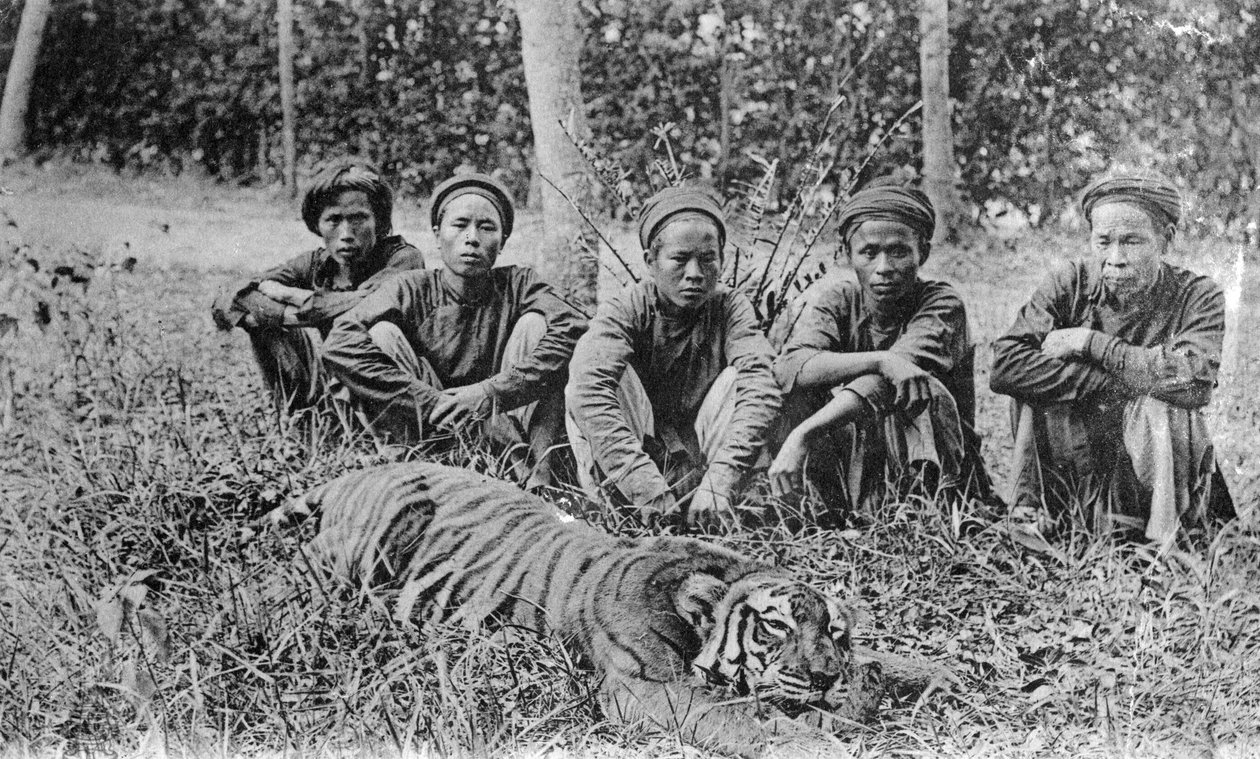 Tijgerjagers, Tonkin, Vietnam, 20e eeuw door Unbekannt