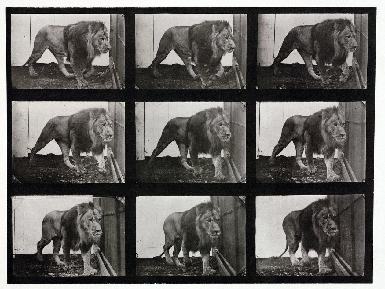Time-lapse foto