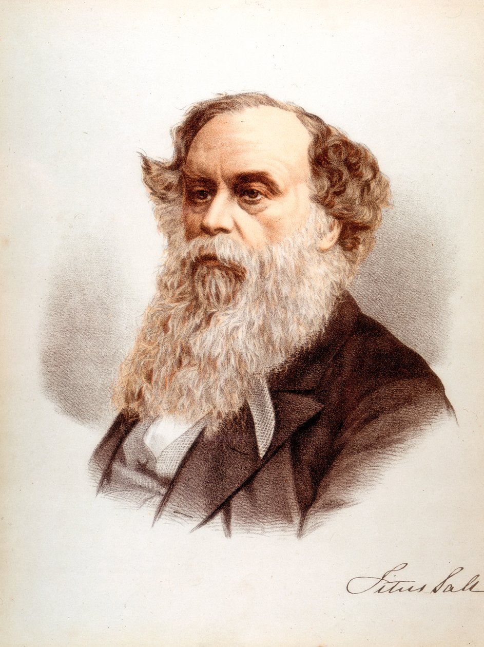 Titus Salt, Britse wolhandelaar en industrieel, c1880 door Unbekannt