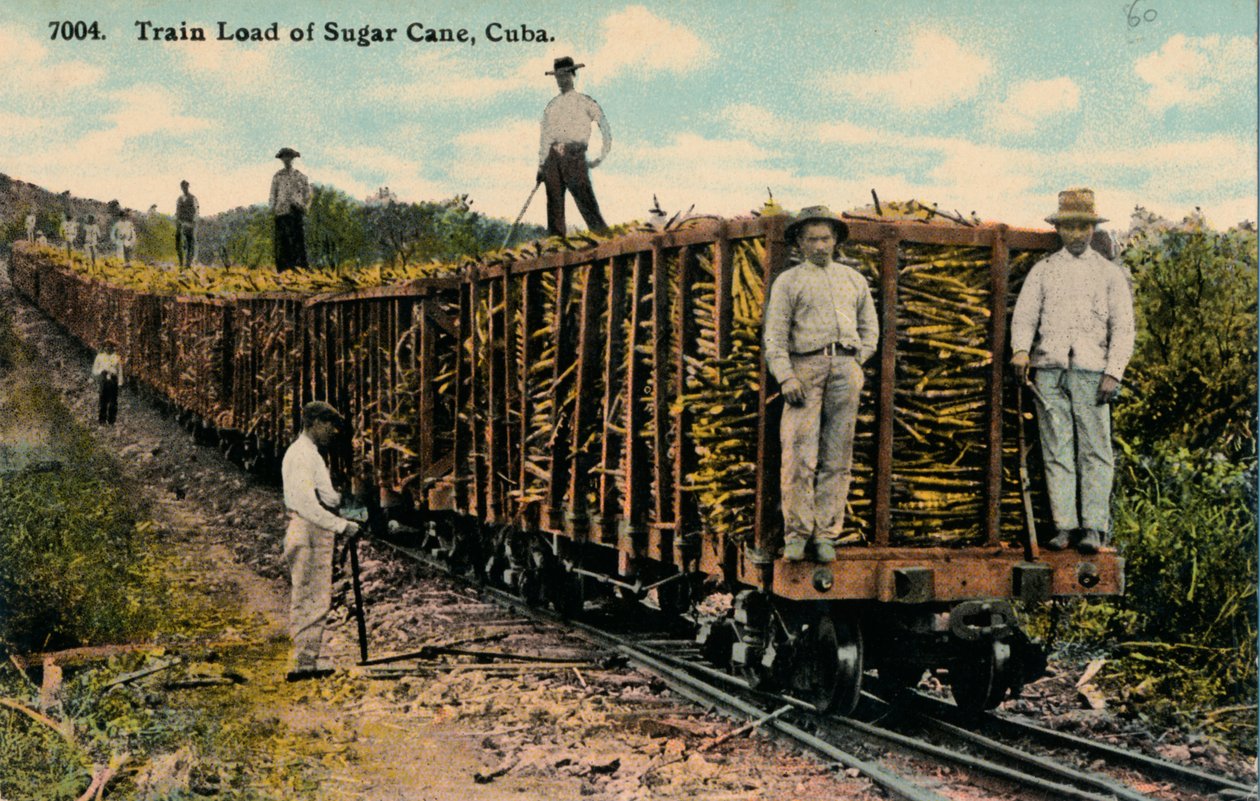 Treinlading suikerriet verlaat het veld, Cuba, 1915 door Unbekannt