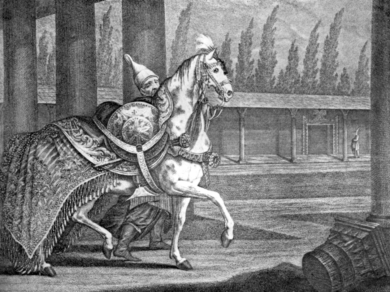 Arabisch paard van de Turkse sultan, 1722 1938 door Unbekannt