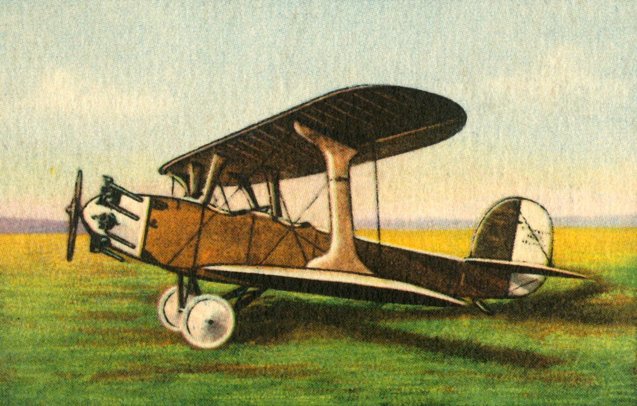 Udet U 12b Flamingo, 1920s door Unbekannt