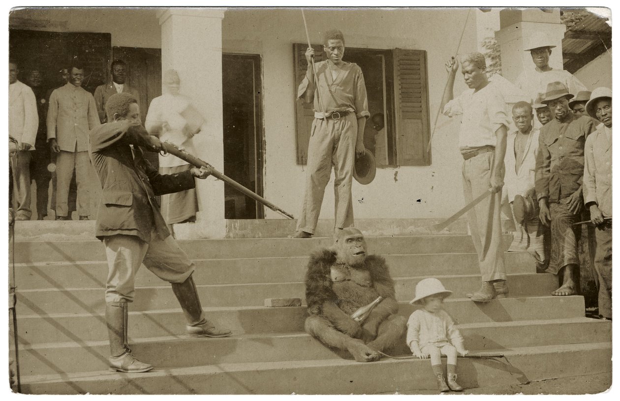 Een tamme gorilla, c.1910 door Unbekannt