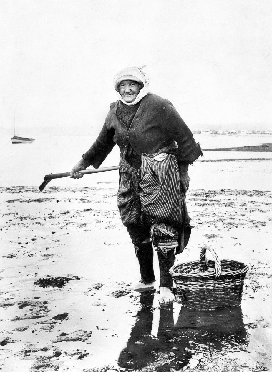Verenigd Koninkrijk: Een oude dame verzamelt kokkels aan de kust. ca. 1890 door Unbekannt