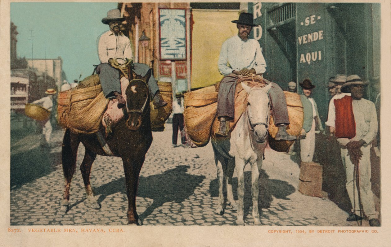 Groentemannen, Havana, Cuba, 1904 door Unbekannt