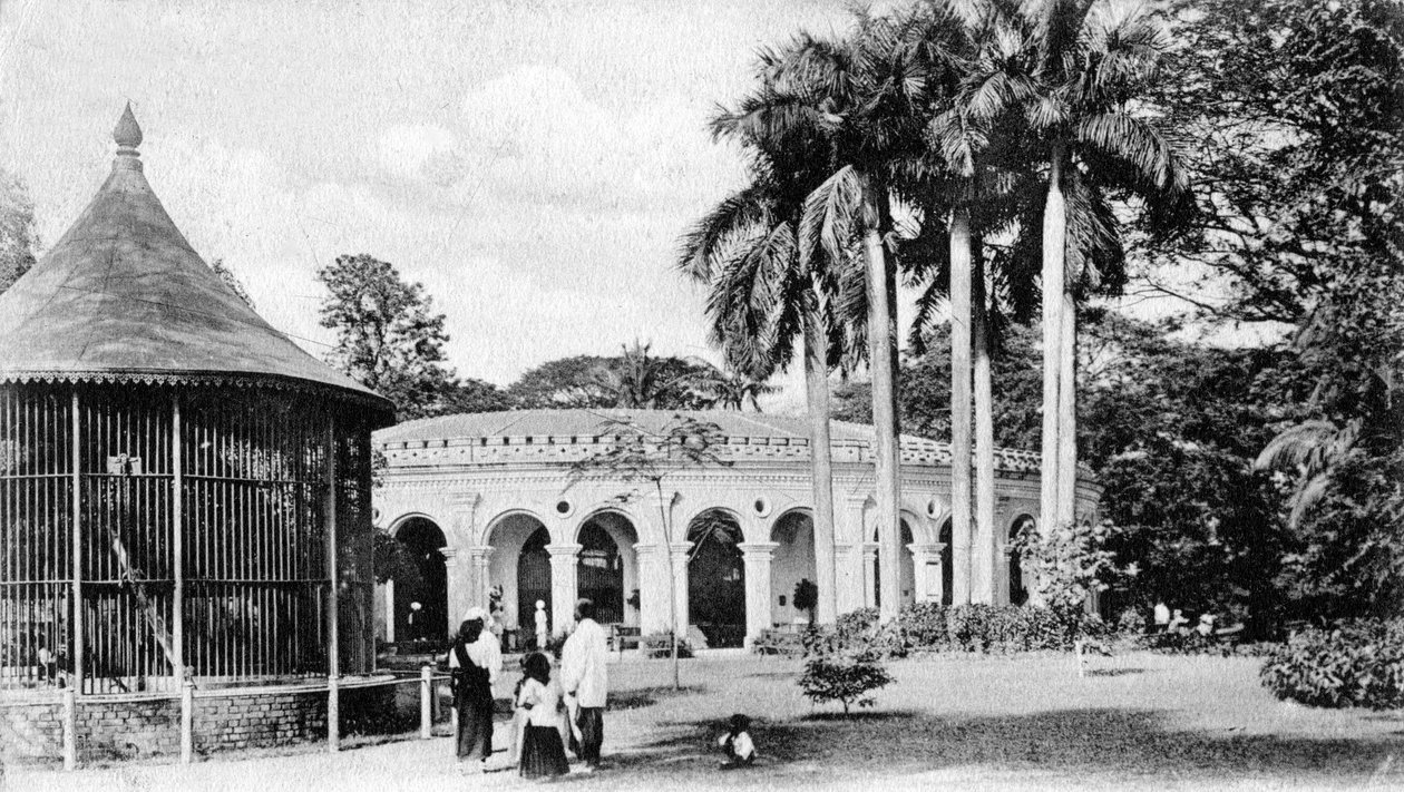 Uitzicht in de dierentuin, Calcutta, India door Unbekannt