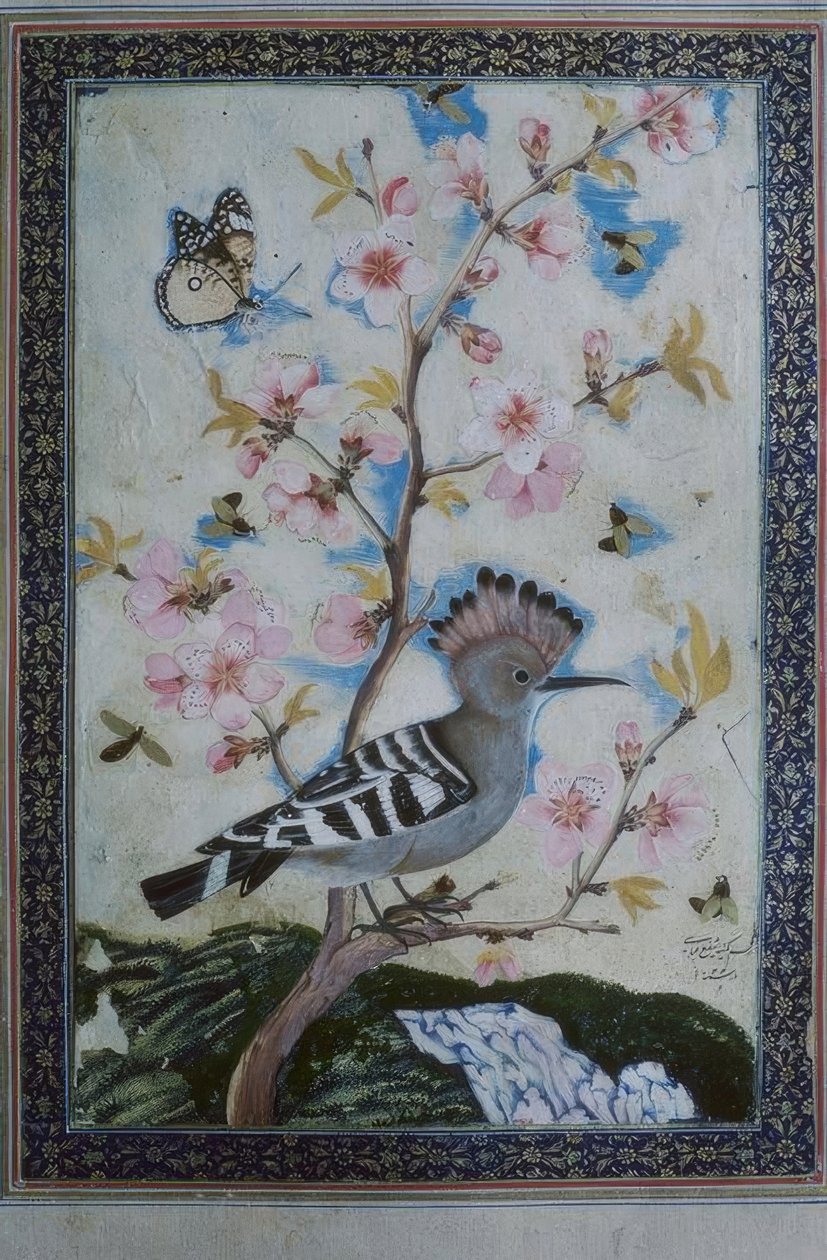 Hop / Indische Miniatuur door Unbekannt