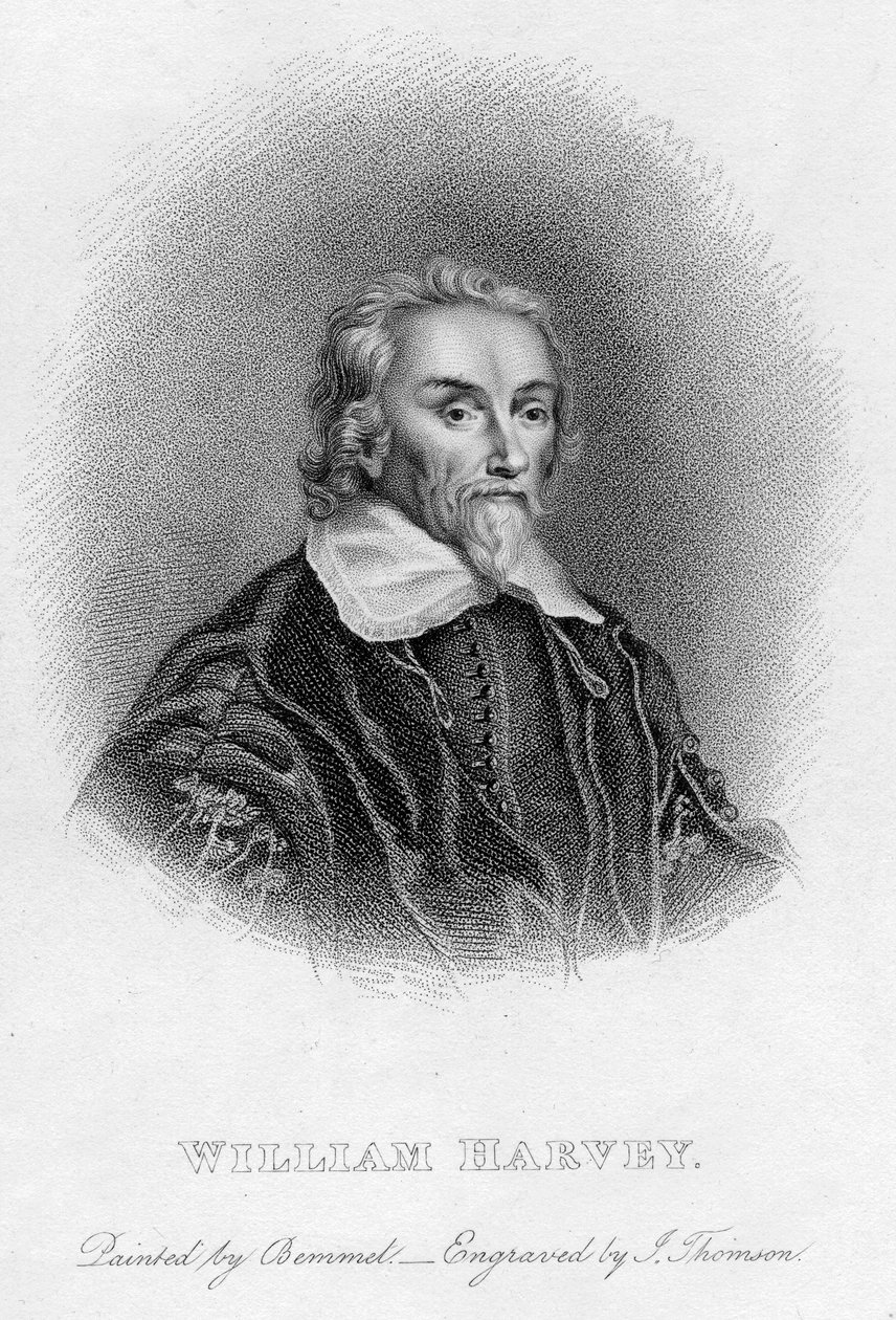 William Harvey 1578-1657 Engelse arts, 17e eeuw door Unbekannt