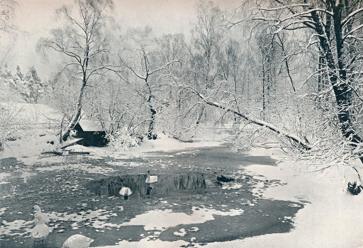 Winterzicht op het openluchtmuseum in Skansen, ca. 1900 door Unbekannt