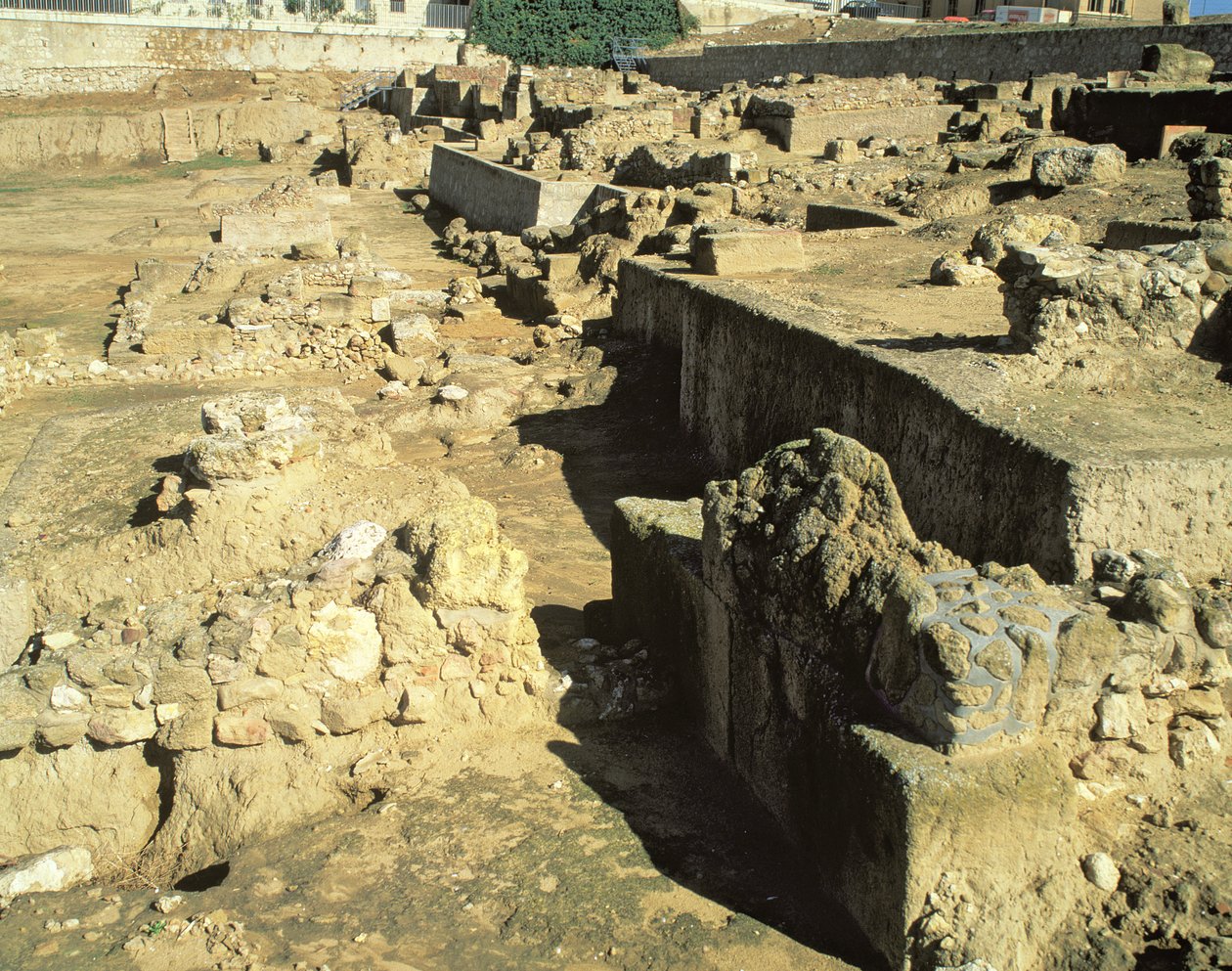 Archeologische overblijfselen van de Griekse kolonie, 6e-5e eeuw v.Chr. door Unbekannt Unbekannt