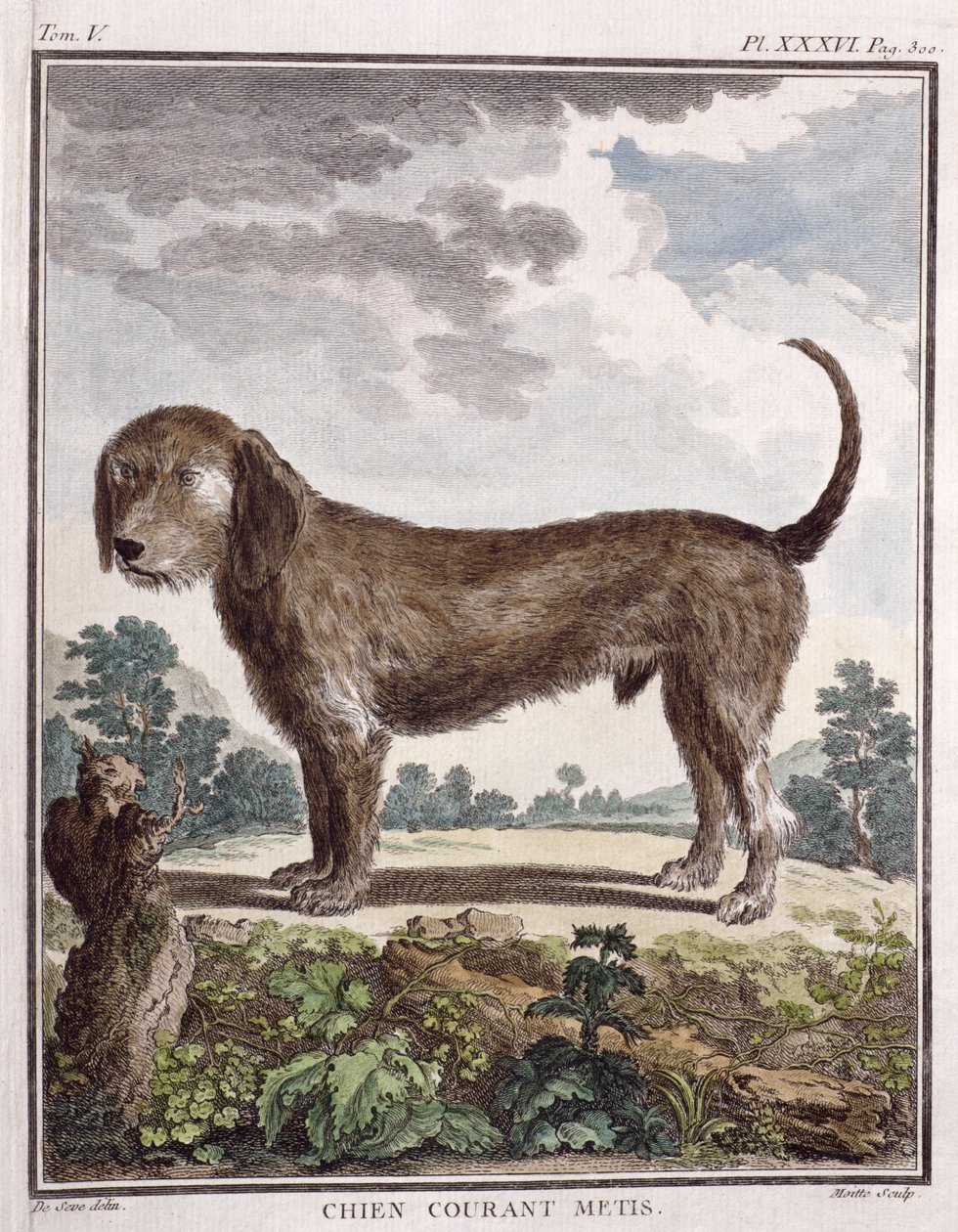 Kruising Hond (gekleurde print) door Unbekannt Unbekannt