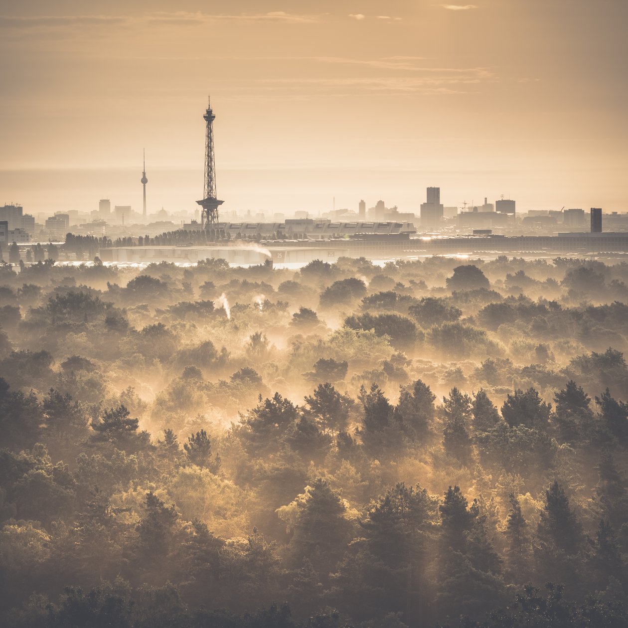 Drachenberg - De twee torens, Berlijn, 2015 door Unbekannt Unbekannt