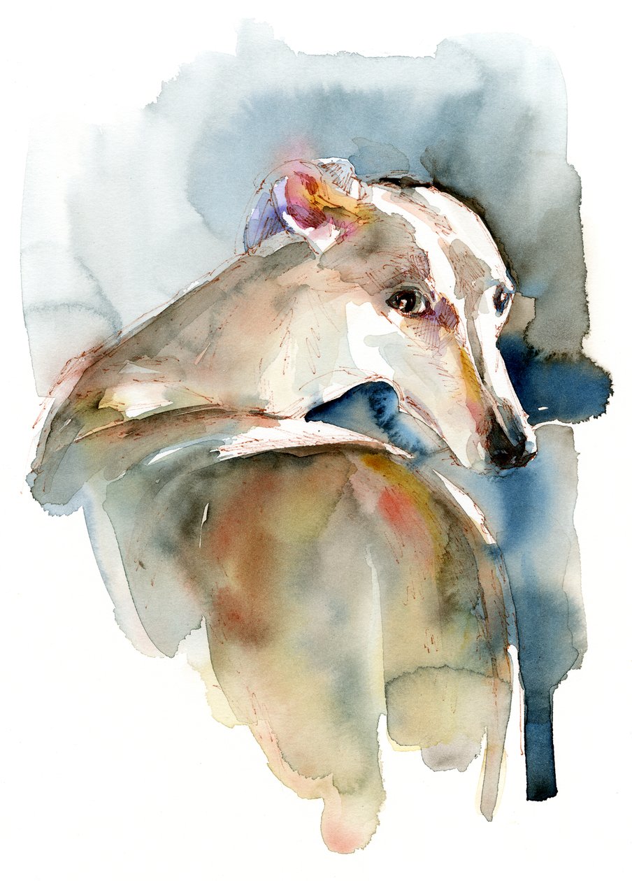 Greyhound Hope, 2016 door Unbekannt Unbekannt