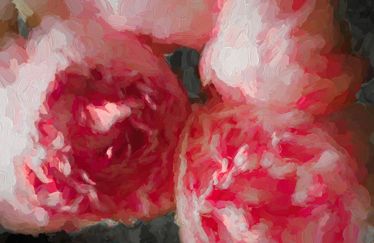 Roze Pioenen, 2018 door Unbekannt Unbekannt