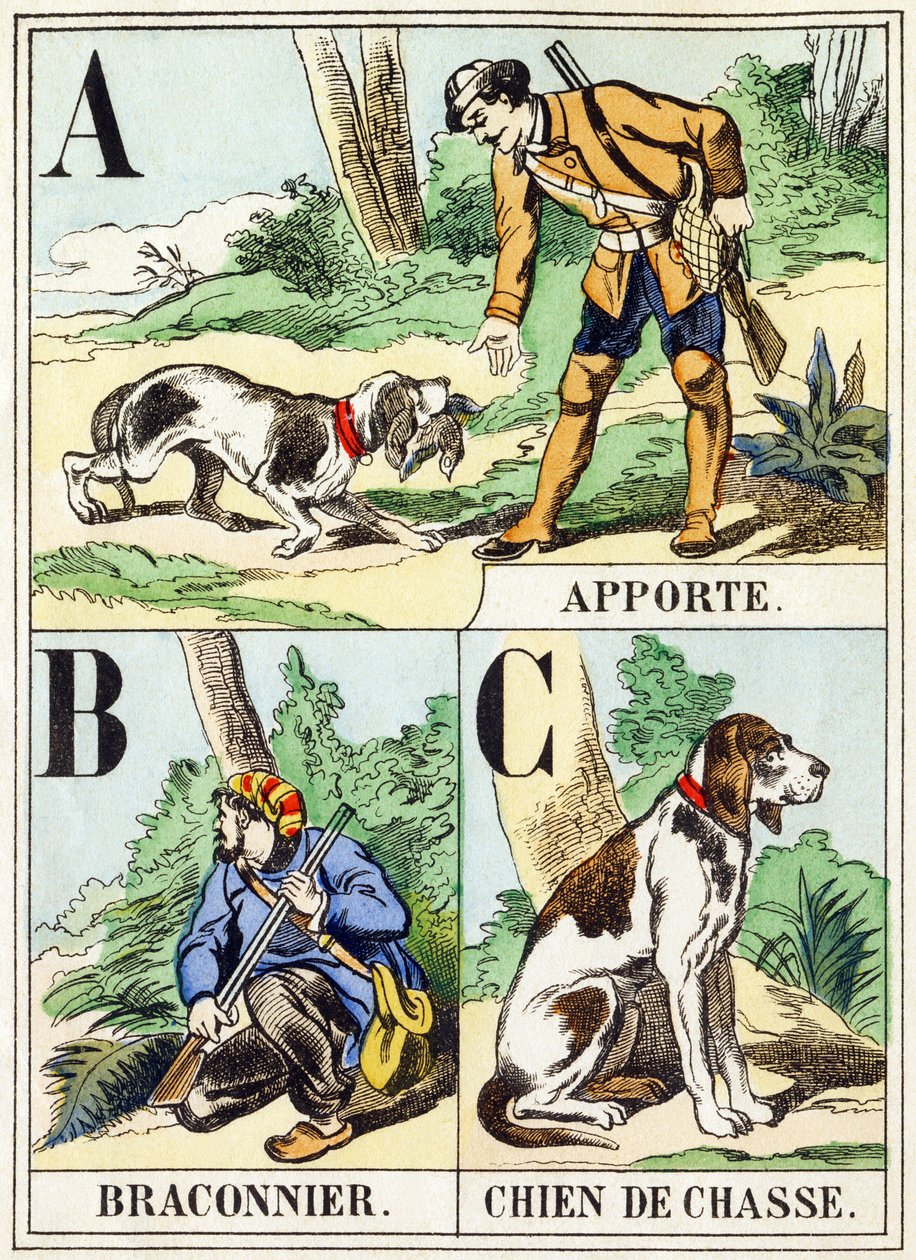 A B C: Breng, Stroper, Jachthond - Het Jachtalfabet, ca. 1890 (gravure) door Unbekannt