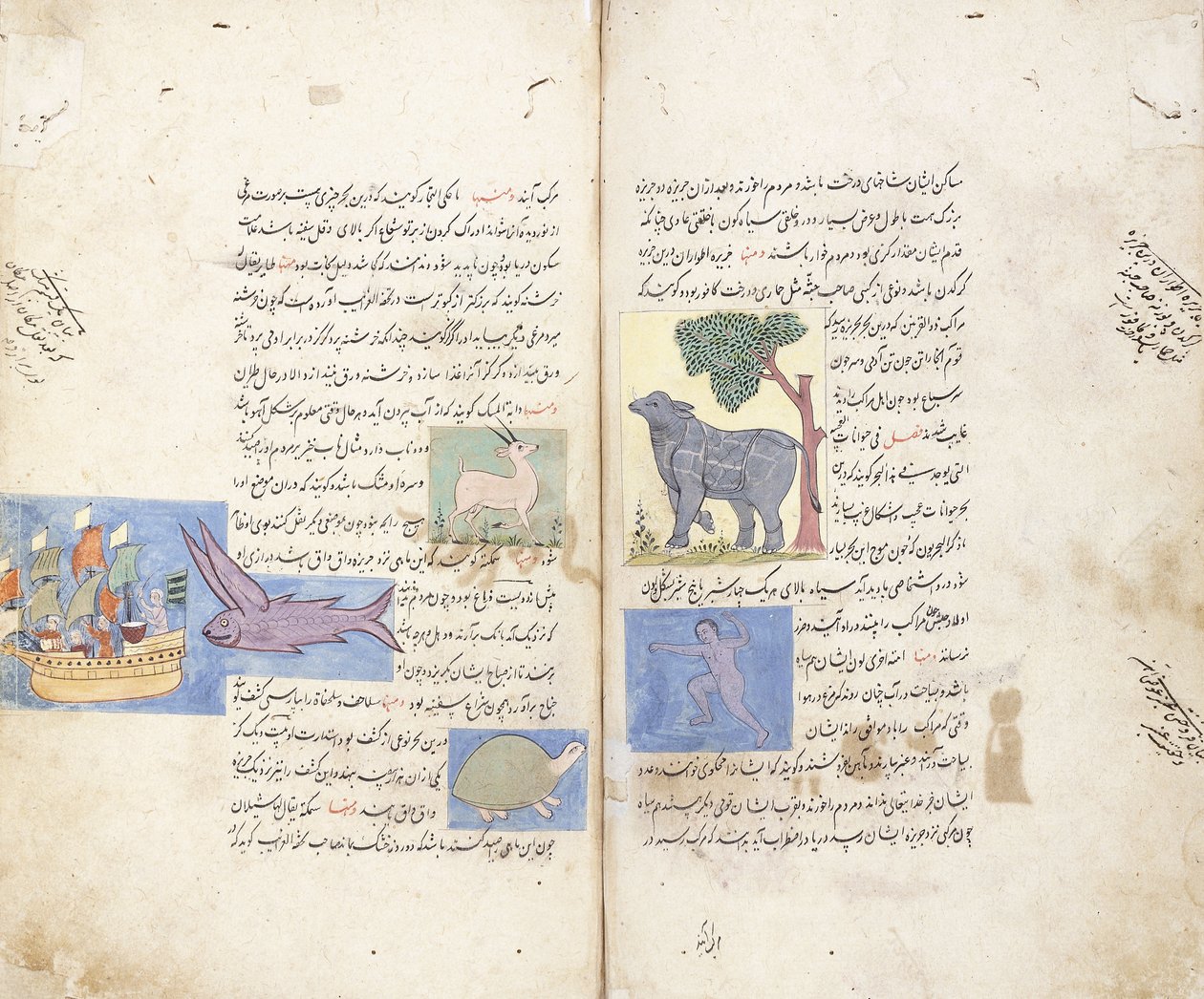 Een pagina uit het Perzische manuscript "Aja