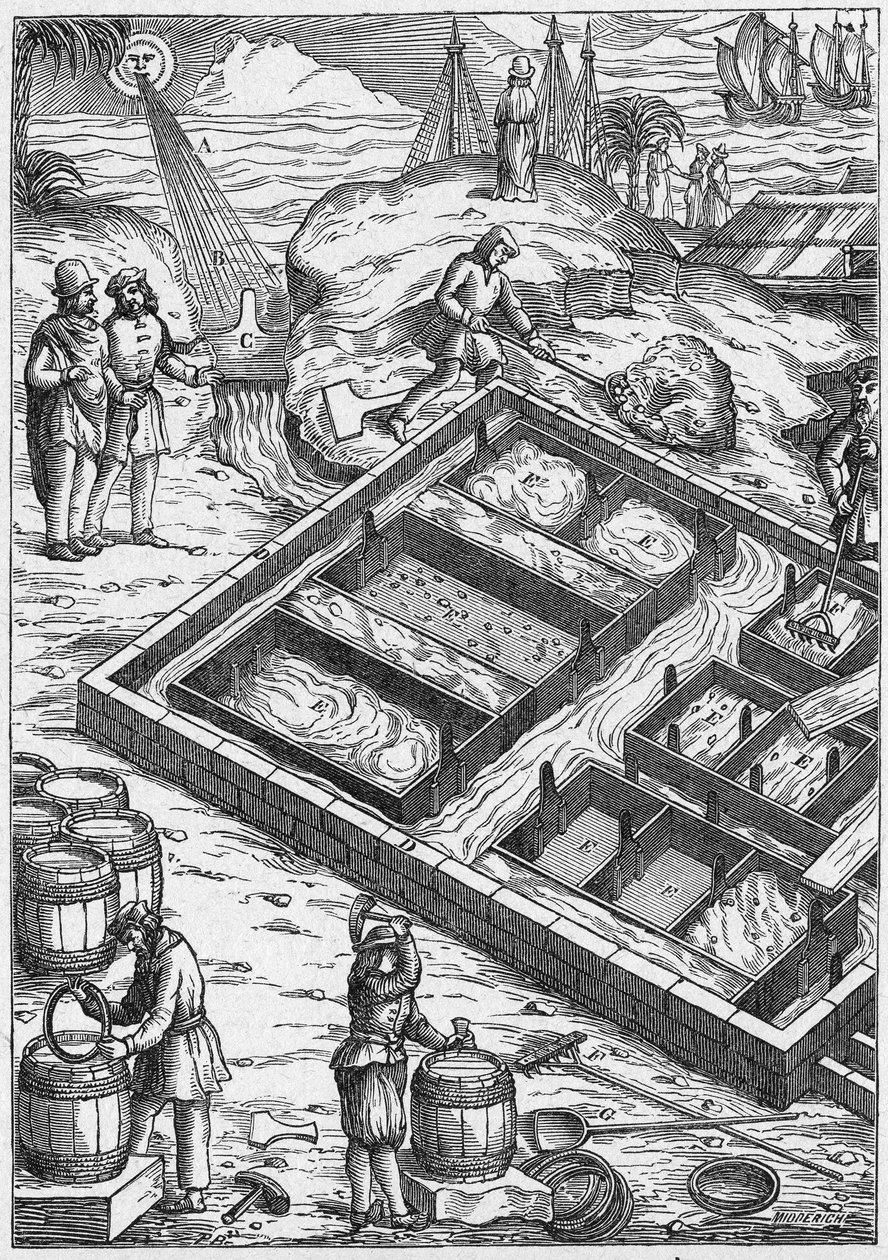 Een zoutmoeras in de 16e eeuw (gravure) door Unbekannter Künstler