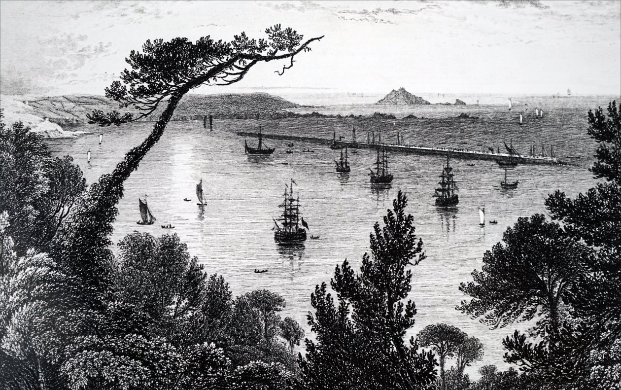 Een uitzicht op de haven van Plymouth door Unbekannt