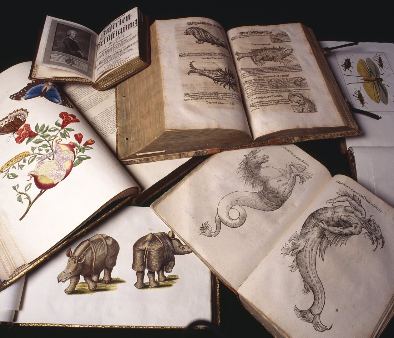 Oude Zoologieboeken door Unbekannt